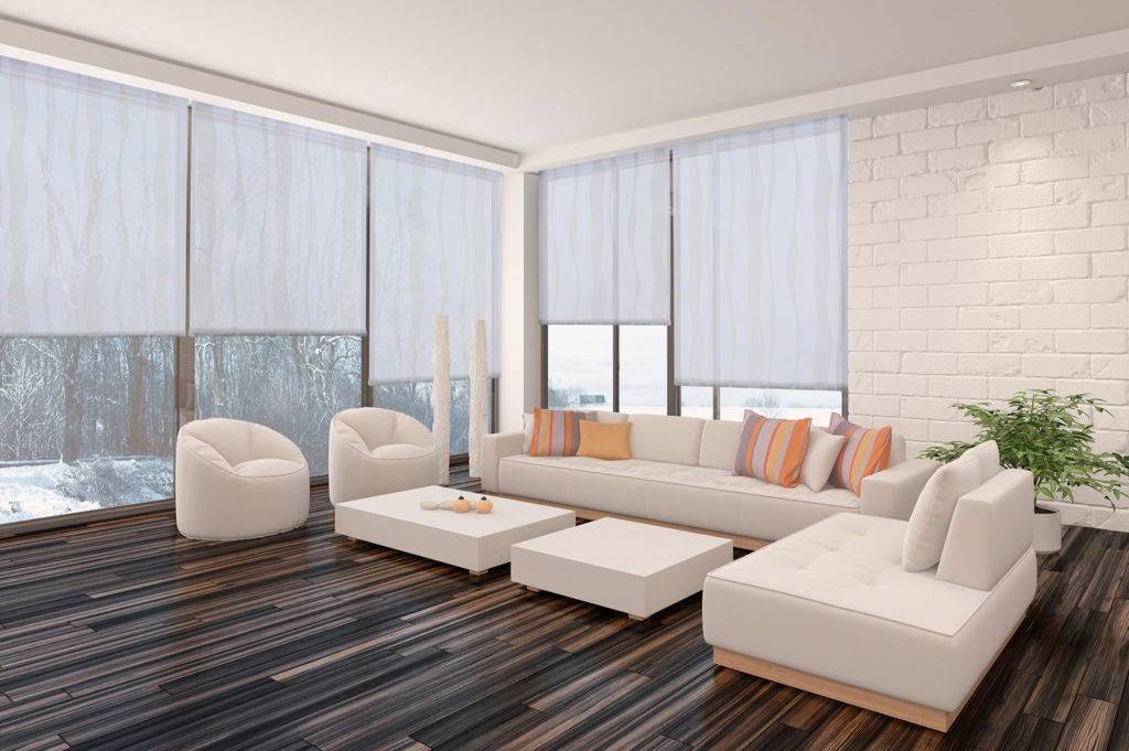 Roller Shades